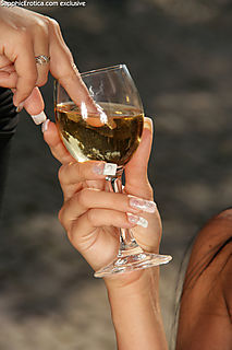 Sophisticated Toyers pic #7